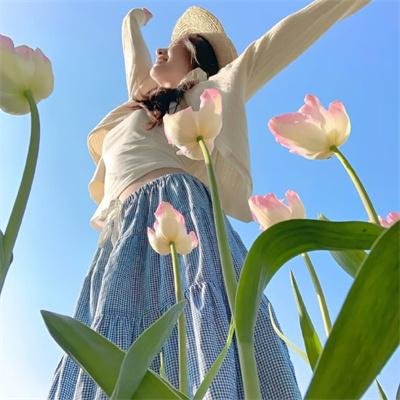 镖旗飞扬